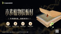 兔宝宝木素胶板：环保强韧，实力派新材