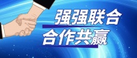 双依格家居：匠心定制，品牌升级新篇章