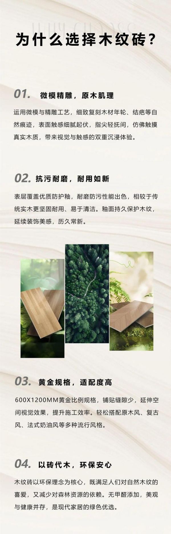 新品上市 