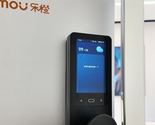 乐橙星火L10贴心功能