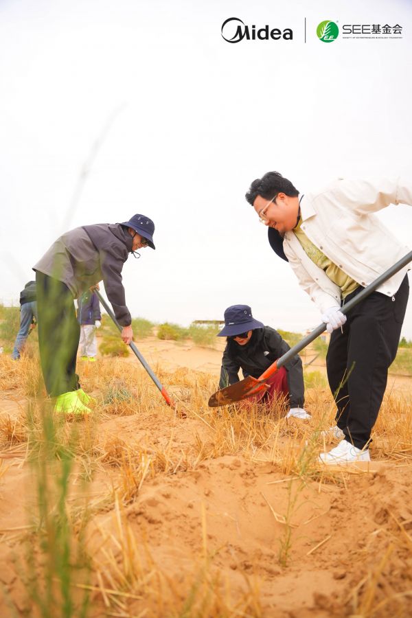 设计师们在阿拉善沙漠种植梭梭树