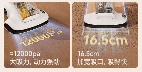 深度清洁细节图
