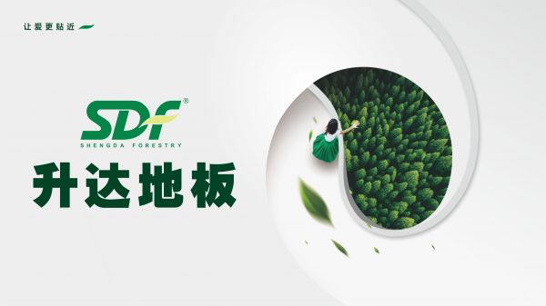 升达地板未来愿景