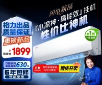 格力“小凉神”创新战：价值战略重塑空调市场