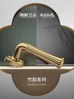 顶固竹韵门锁：简约万境，美学新纪元