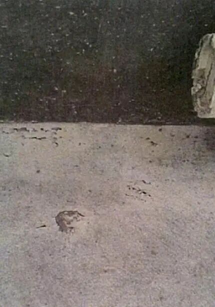 Waterproofing Product Example