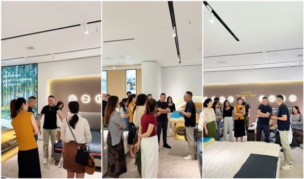 Amtida International Home Mattress Experience