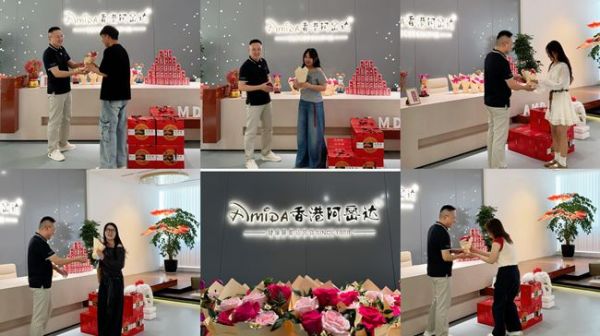 Amtida International Home Minimalist Mid-Century Sofa