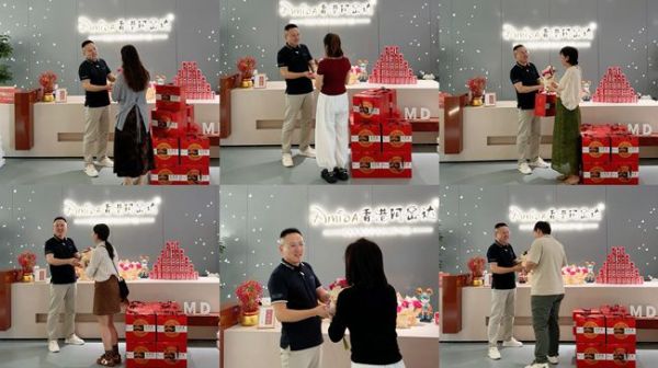 Amtida International Home Minimalist Mid-Century Bed