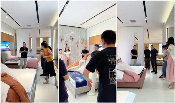 Amtida International Home Mattress Environmental Protection