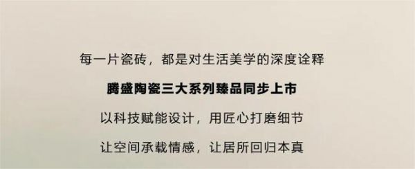 腾盛陶瓷系列五