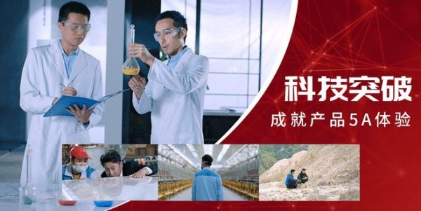 宏陶瓷砖技术纵深