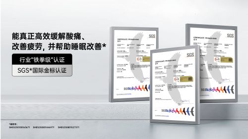 松下REAL PRO获奖SGS证书