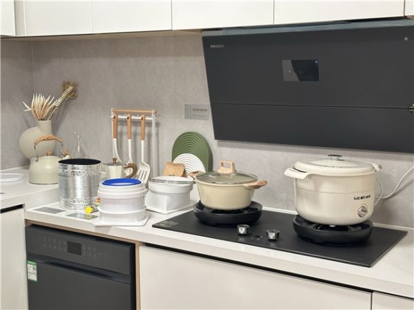 帅康炊烟灶8B988G产品展示