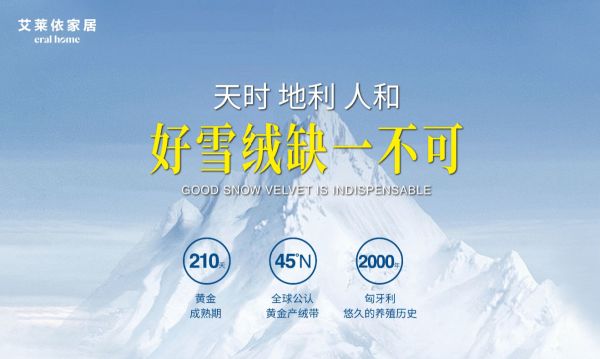 Hungarian Duck and Goose Breeding