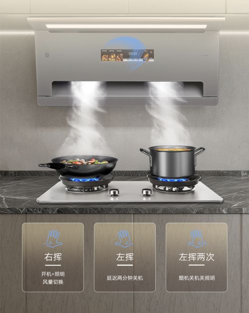 樱花御风吸油烟机Q660M