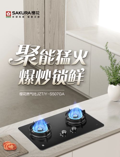 樱花燃气灶S507GA