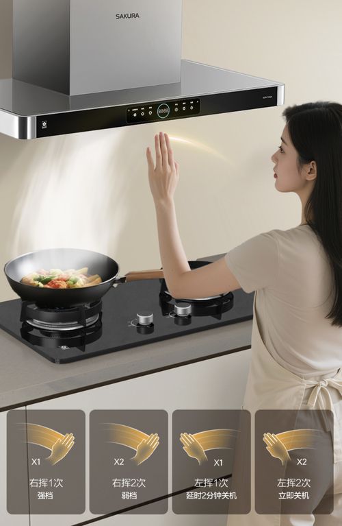 樱花吸油烟机T302A