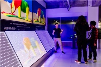 KOL全球“追星”：海信揭秘RGB-Mini LED色彩魅力