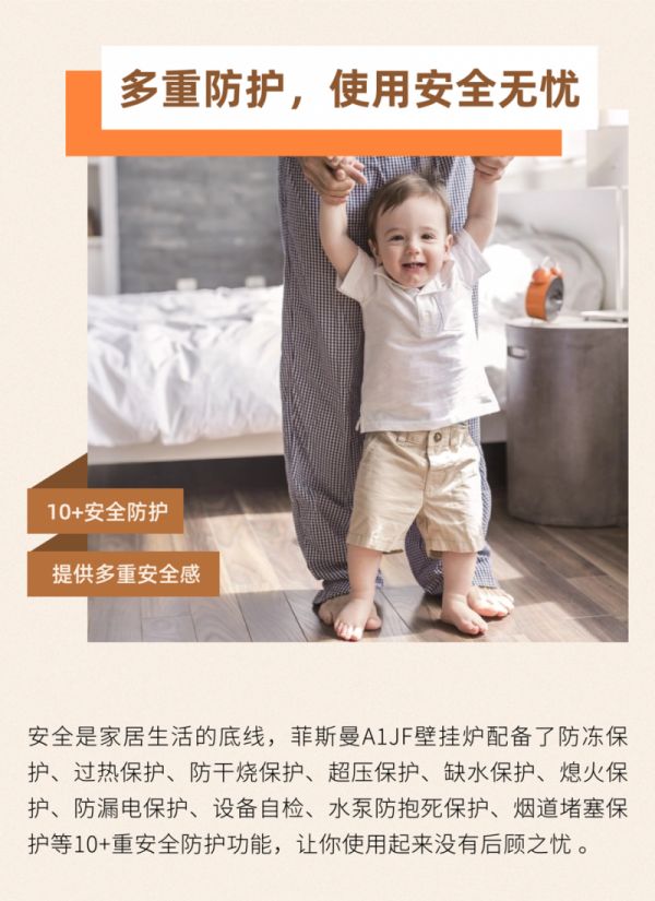 Multipoint Protection of Franzisman A1JF Wall Hang Boiler