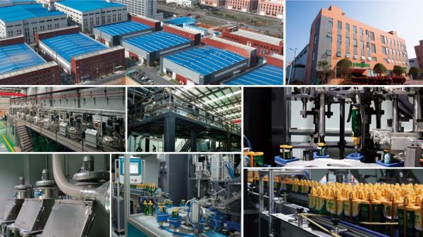 帝斯固品牌认证与荣誉