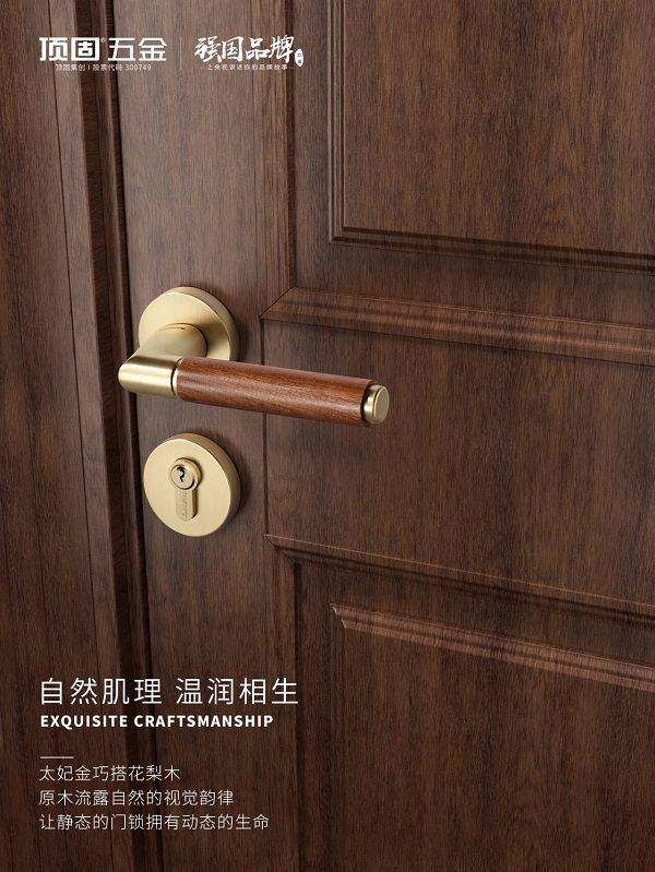 TopGuard Dinghai Shenjin Series Door Lock Experience