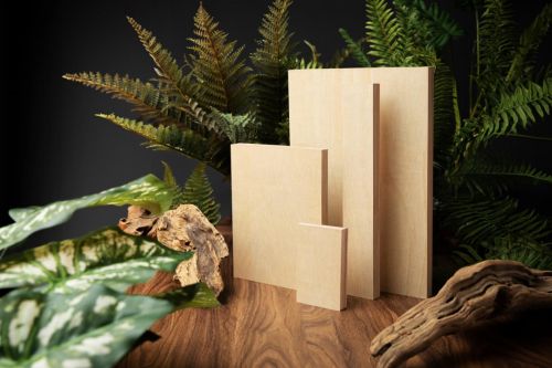 兔宝宝未来家居理念