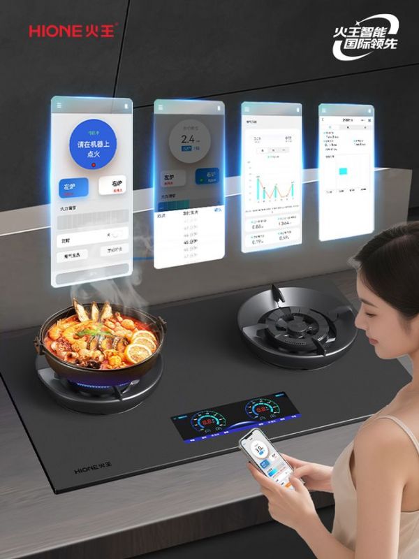 Fire King smart stove