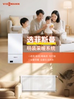 菲斯曼壁挂炉，一炉温暖整个家