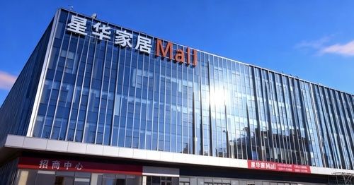 星华家居Mall媒体沙龙活动
