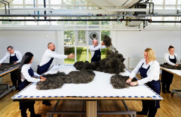 海丝腾马尾毛材质图片