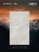 粤强宗师M9「格拉斯浅灰」，家韵生景