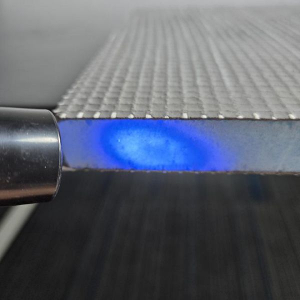 Fluorescent Reaction Assessment