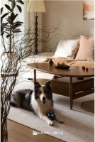 2025成都装修攻略：个性化设计，宝藏公司解密家居美学