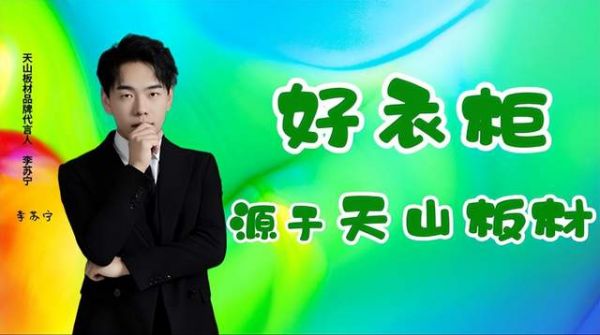 天山板材品牌荣誉展示