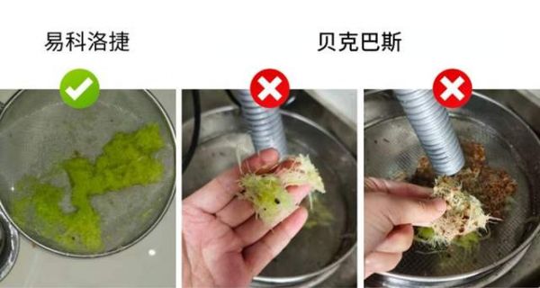 Garbage Disposal Comparison Image 2