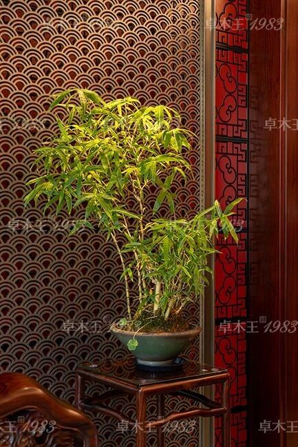 卓木王红木整装楼梯设计