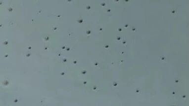 Waterproofing Layer Issue