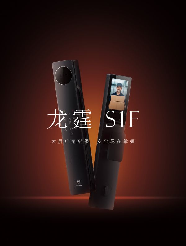龙霆智能锁产品图片
