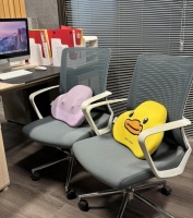 2026按摩靠垫选购指南：热门产品解析