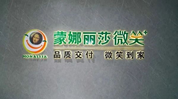 蒙娜丽莎终端服务体验