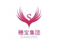 2026租房床垫选购：性价比高床垫推荐！