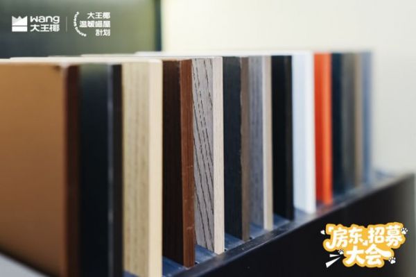 大王椰温暖喵屋计划