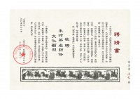 朱玲英：公益观影照亮少年成长之路